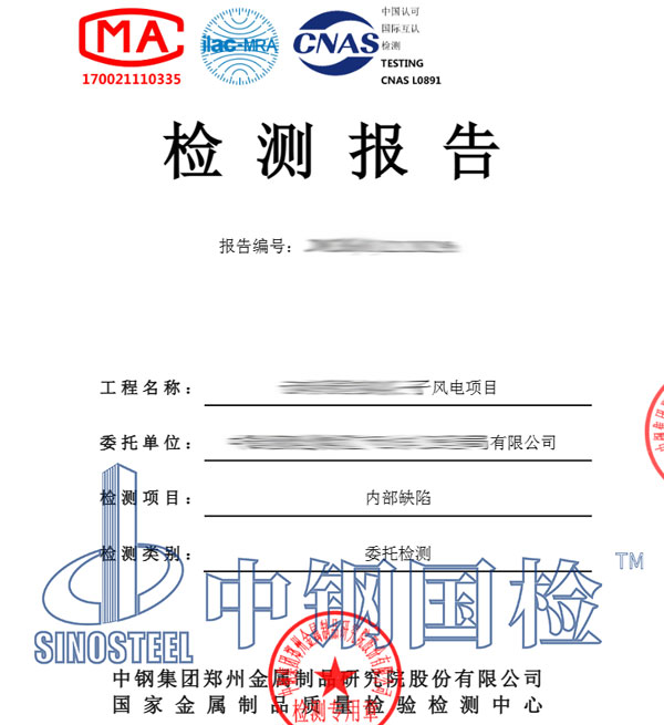 風電項目檢測報告