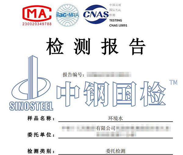 環境水氯離子檢測報告